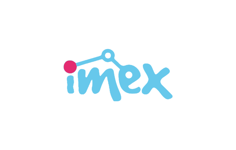 proyecto imex